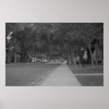 Streetview Posters