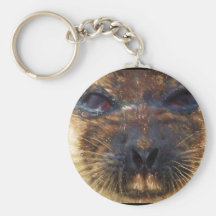 STRILAR FÖRSEGLA NYCKEL RING