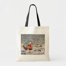 Suckulenta växter tote bag