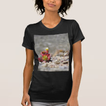 Suckulenta växter tshirts
