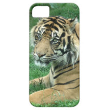 Sumatra tiger på iPhone 5 knappt där iPhone 5 Case-Mate Fodraler