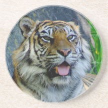 Sumatran tiger underlägg för glas
