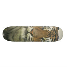 Sumatran tigerSkateboard