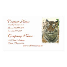 Sumatran tigervisitkortar