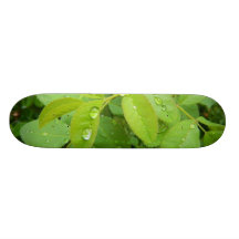 Summer Rain on Plants Skateboard