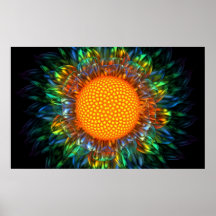 Sunburstdaisy Posters