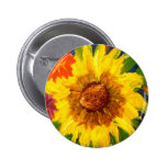 Sunflower2 Nål