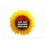 SunflowerNoPerfume Vykort