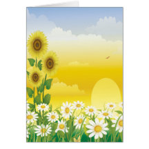 Sunflowers, White Flowers, Sun , Greeting Cards
