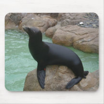 Sunning förseglar mus mattor