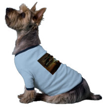 Sunrise, Sunset Pet Clothes