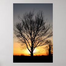 SunriseTree Print