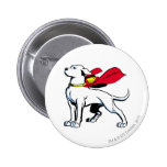 Superdog Krypto Knapp Med Nål