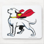 Superdog Krypto Musmattor