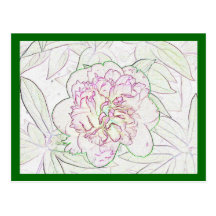superpinkpeony4sketchoutline vykort