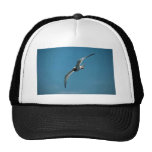 Svala-Tailed fiskmås i flyg Baseball Hat