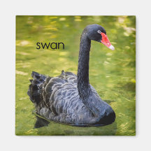 Svankylskåpmagnet Magnet För Kylskåp