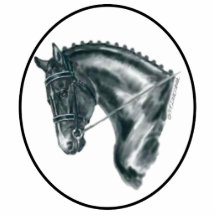 Svart Dressagehästporträtt Cut Outs