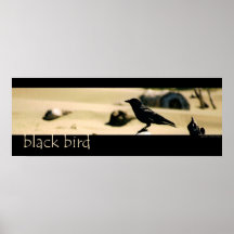 Svart fågel posters