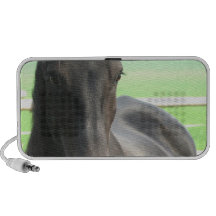 Svart Friesianhästhögtalare