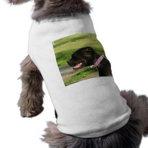 Svart groptjurhund tröja