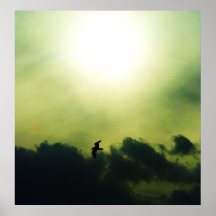 svart hövdad gul och sun print