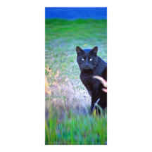 Svart katt anpassningsbara rackkort