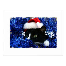 Svart katt, Santa hatt, blåttglitter, redo som pou Vykort
