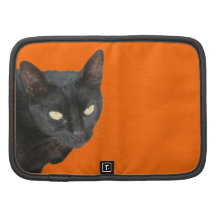 Svart katt Whiskers Organizer