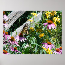 Svart och gul fjäril och daisy print