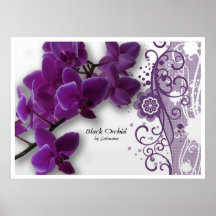 Svart Orchid Affischer