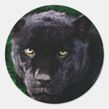 Svart panter klistermärken