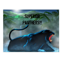 svart-panter överlägsna pantrar!!! vykort
