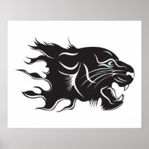 Svart panterblåttögon posters