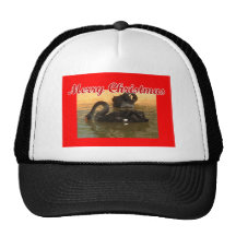 Svart svanar baseball hat