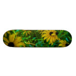 Svart-Synade Susans Skate Boards
