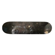 Svart varg skate board decks