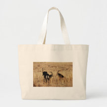 Svart vila för antilop tote bag