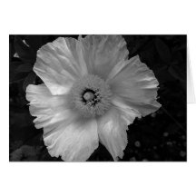 svartvit blomma hälsningskort