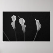Svartvit blommaaffisch