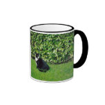 Svartvit katt mugg