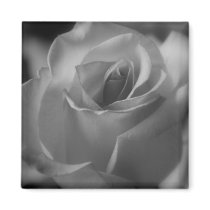 Svartvit rosa magnet kylskåps magneter