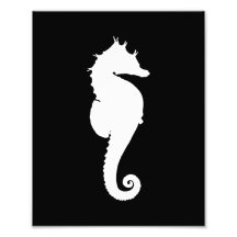 Svartvit Seahorse Fotografi