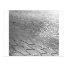 Svartvita RainDrops Vykort