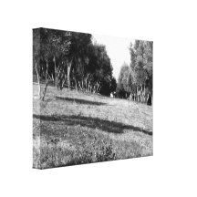 Svartvitt landskap 1 canvastryck