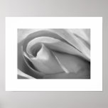 Svartvitt rosa affischaffischtryck