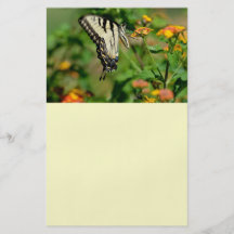 Swallowtail fjäril flygblad