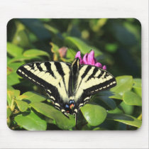 Swallowtail fjäril musmattor