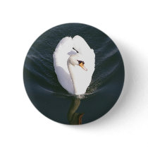 Swan1