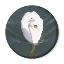 Swan1 Magnet För Kylskåp